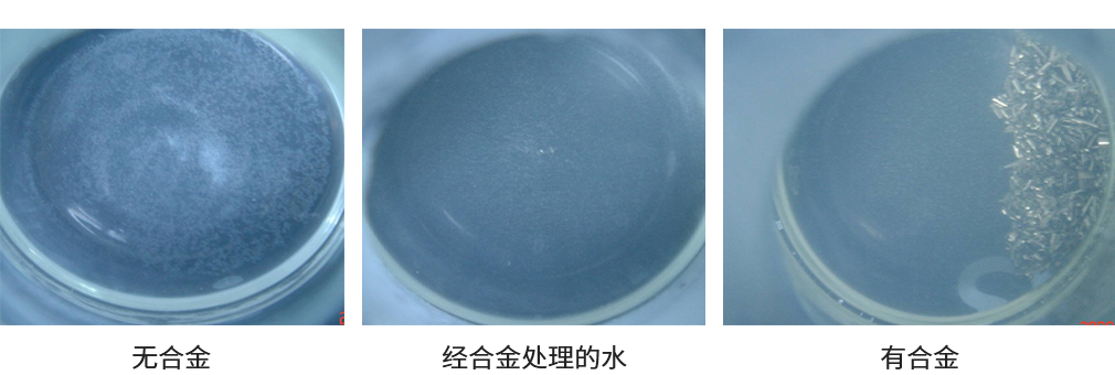  饱和盐水中盐的结晶对比 